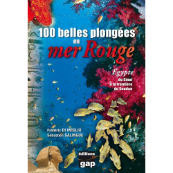 100 belles plongées en mer Rouge